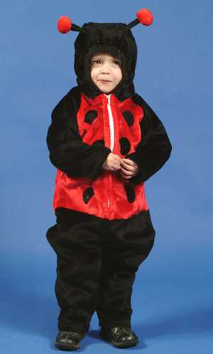 Costume Coccinelle E2