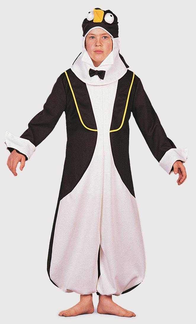 Costume Pingouin E2