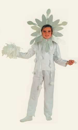 Costume Flocon