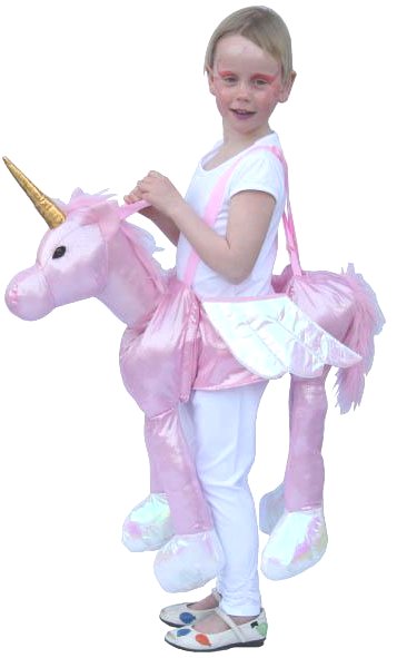 Costume Licorne � monter