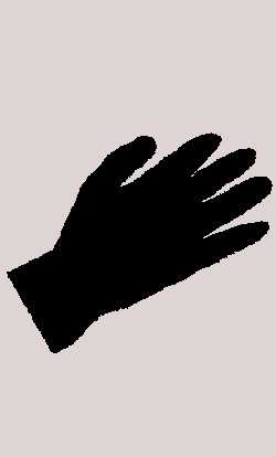 Halloween-accessoires,Ha0016,Gants noirs