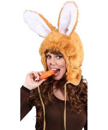 Oreilles de lapin - Accessoire de déguisement - Ax0060
