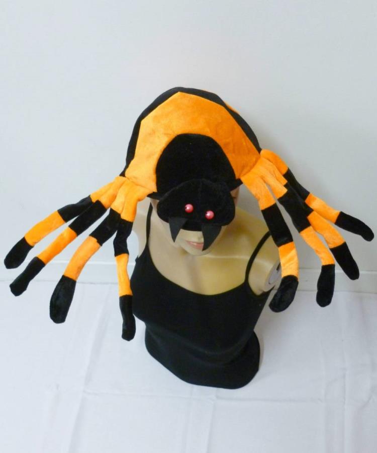 Chapeau-d'araignée-1