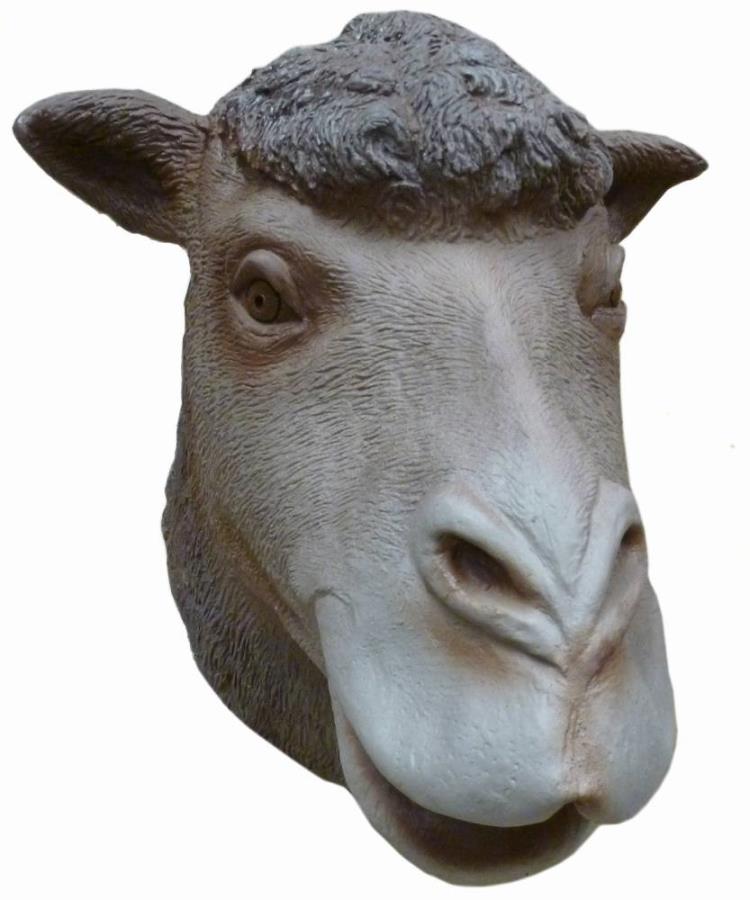 Masque-de-chameau-1
