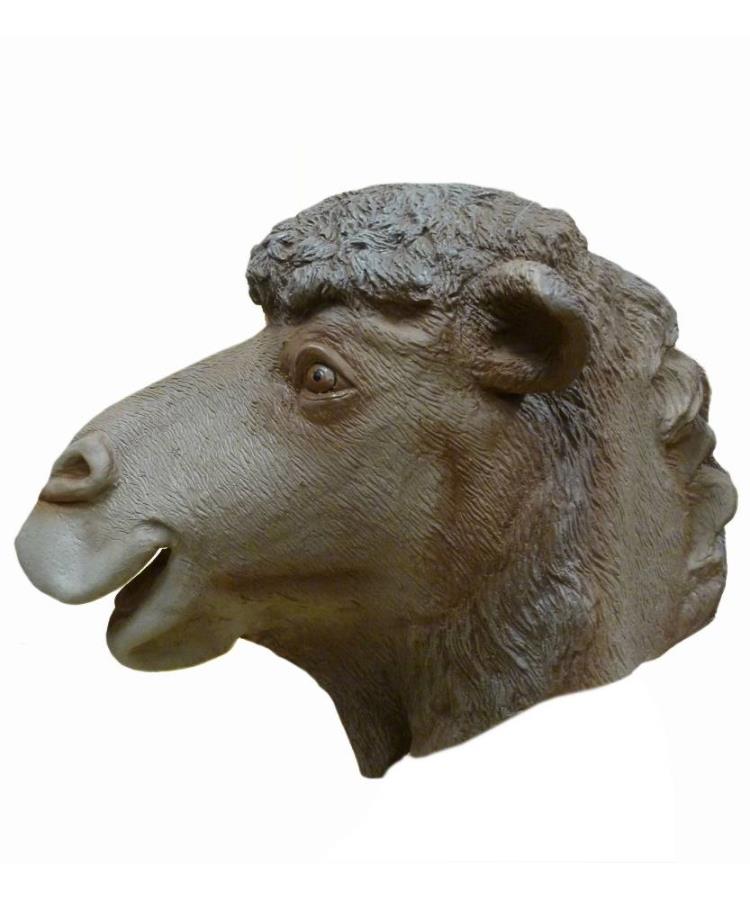 Masque-de-chameau-2