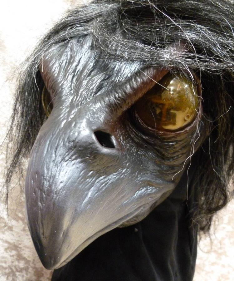 Masque-de-corbeau-3