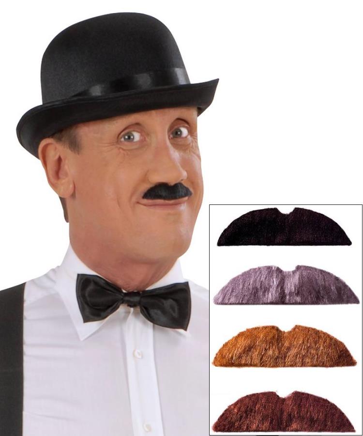 Moustaches-adulte