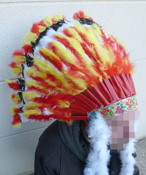 Coiffe-indienne-plumes-2