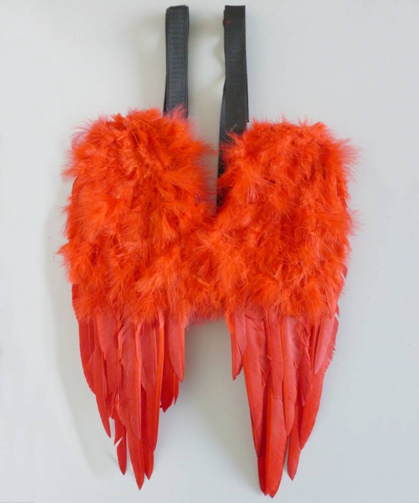 Ailes plumes rouge 30x45cm