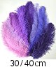 Plume-Autruche-Violette-30-40cm
