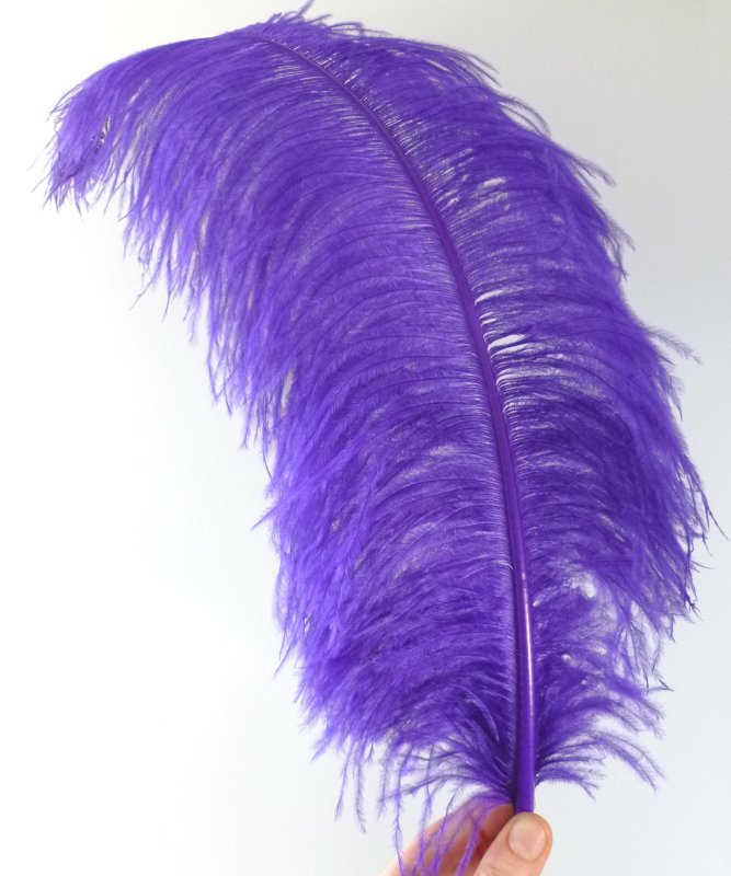 Plume d'autruche violette luxe 50 - 60cm