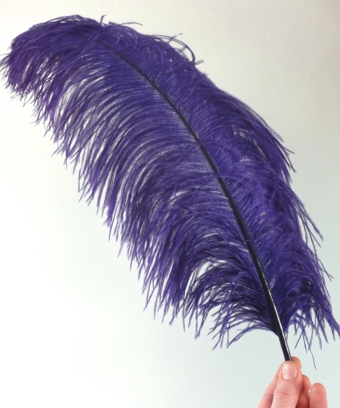 Plume-d'autruche-violet-eveque-luxe-50---60cm
