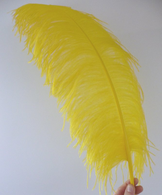 Plume-d'autruche-jaune-luxe-50---60cm