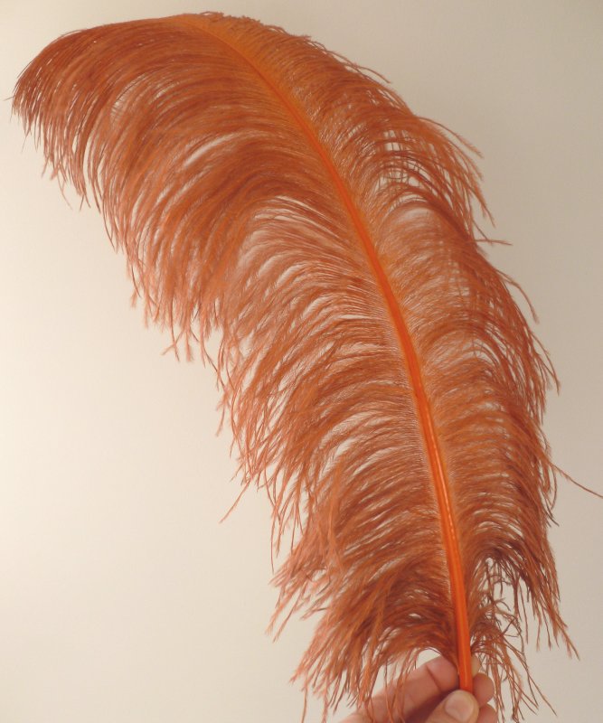 Plume d'autruche rousse luxe 50 - 60cm