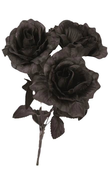 Roses-noires