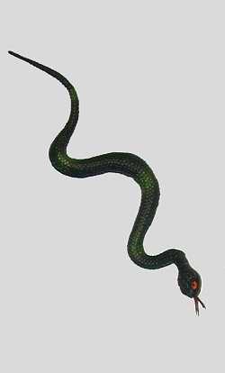 Serpent-27cm
