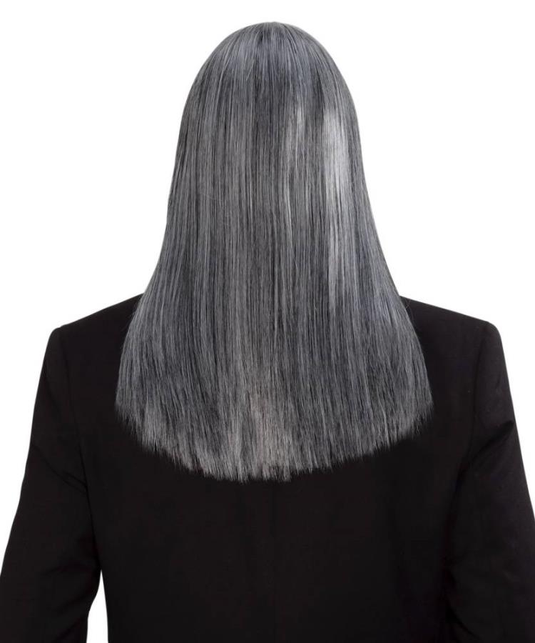 Perruque-homme-cheveux-longs-gris-1
