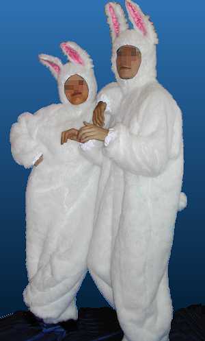 Costume lapin blanc m6 - Déguisement adulte - v39071