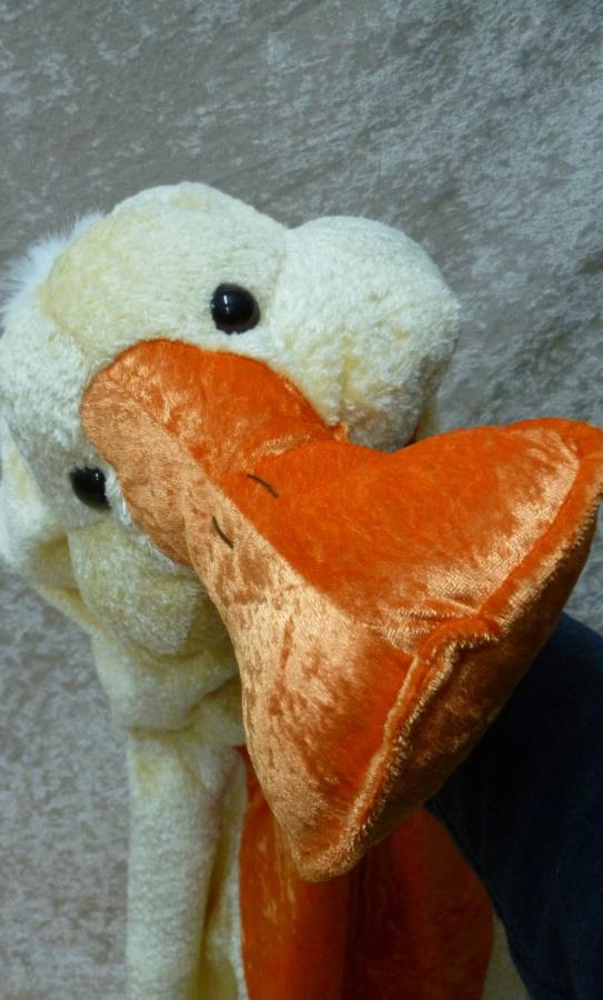 Costume-d'oie-enfant-1